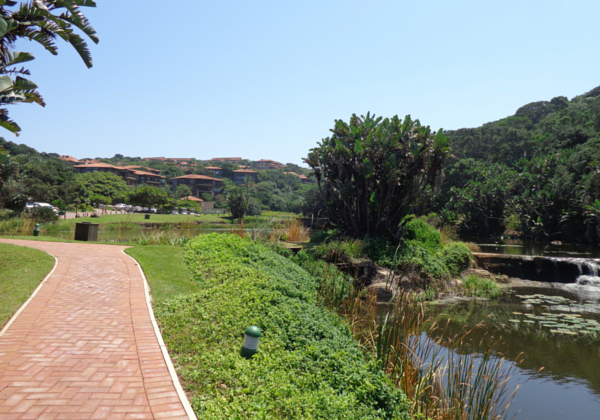 Family Friendly hike Zimbali Durban Ballito