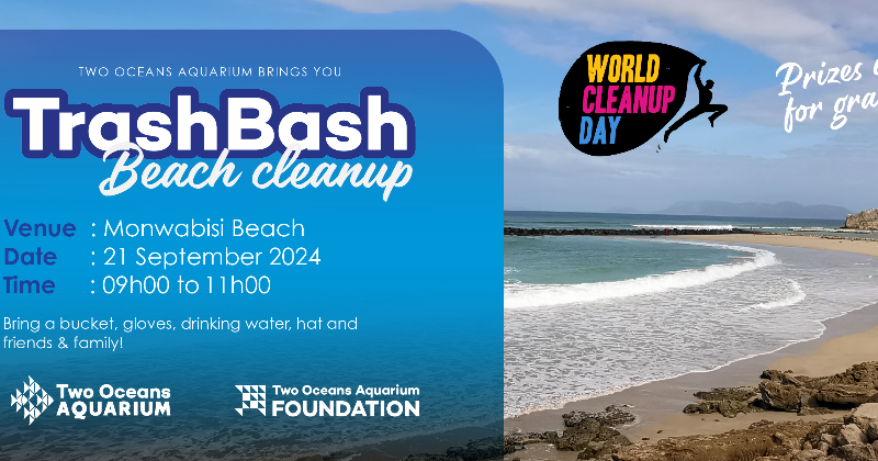 Trash Bash Beach Cleanup