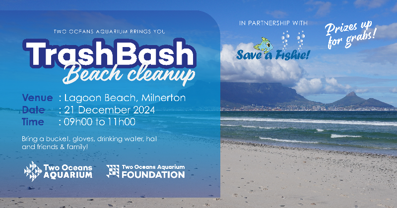 Trash Bash Beach Cleanup