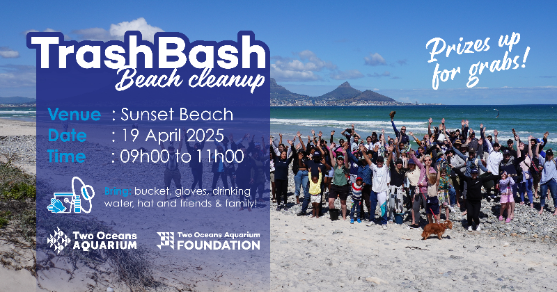 Trash Bash Beach Cleanup