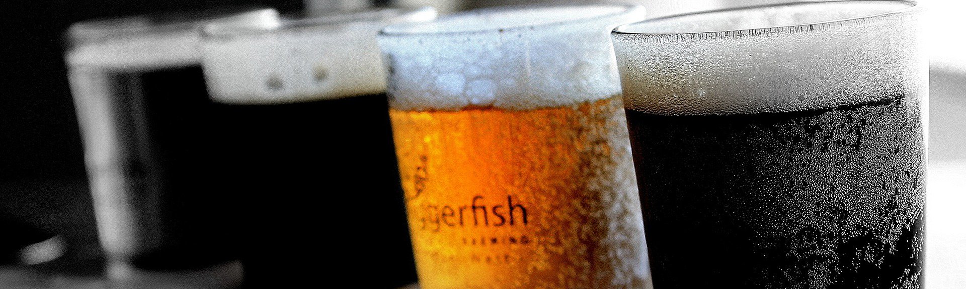 Capegate Craft Beer Festival | Cape Town | Special Events