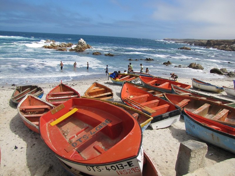 Discover the Cape West Coast with kids | Cape West Coast | Things to do With Kids