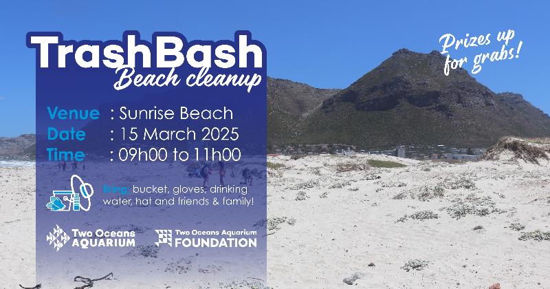 Trash Bash Beach Cleanup