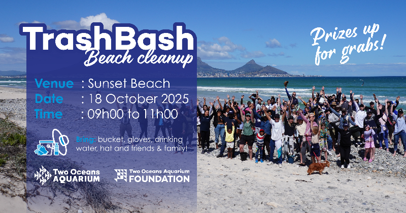 Trash Bash Beach Cleanup