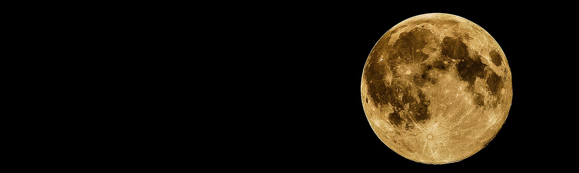 Moonlight Market | Prince Albert | Durban | Things to do With Kids