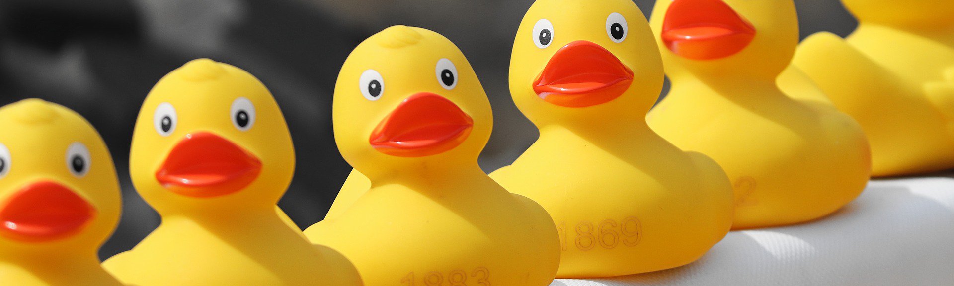 Day at the Duck Race | Western Cape | Things to do With Kids