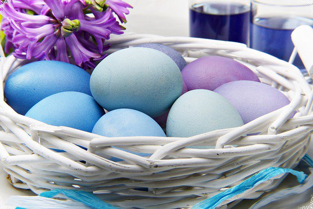 What's on This Easter Holiday on the Garden Route 2018