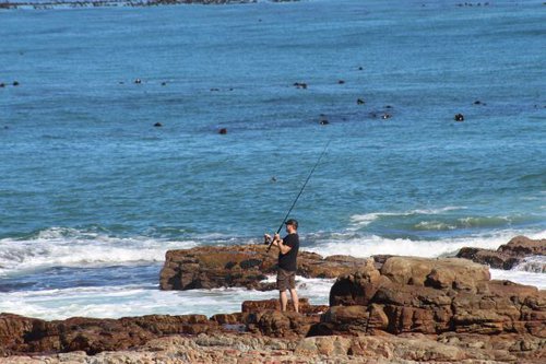 Rediscover the enchantment of Cape Point | Blog | things to do With Kids