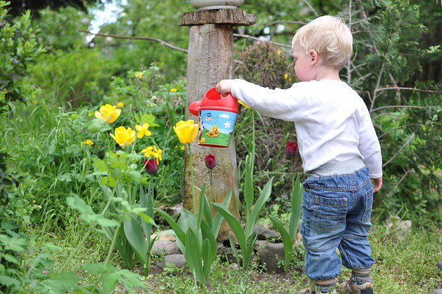 How to grow a water-wise kid-friendly garden
