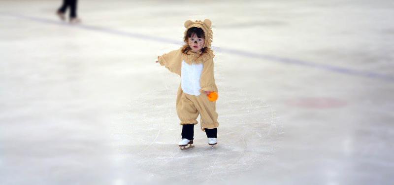 little-lion-skating-1467781.jpg
