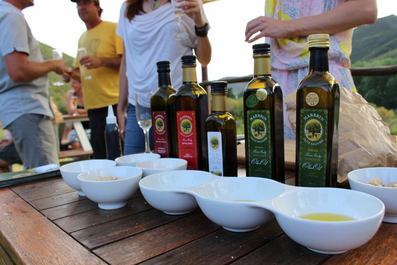 Marbrin olive oil tasting with kids