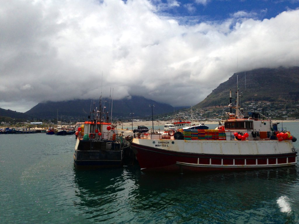 Ten things to do and see around Hout Bay Atlantic Seaboard