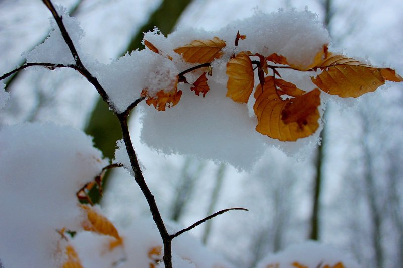 Making your own snow|Fun indoor activity | Things to do With Kids