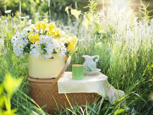 What's on Spring 2019 | Cape Town | Things to do With Kids