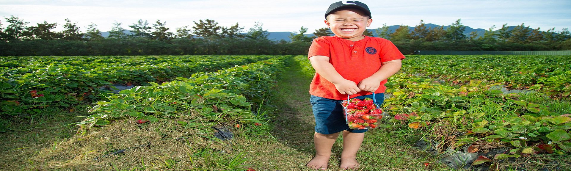 Redberry Farm | Garden Route | Things to do With Kids