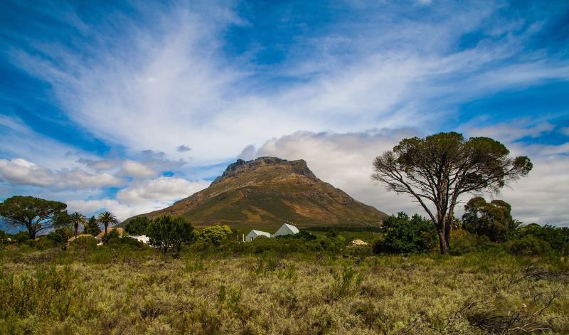 stellenbosch-1855064_1280.jpg