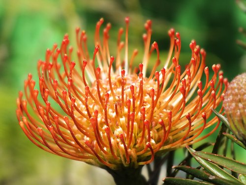 What's On Spring 2019 | Cape Town | Things to do With Kids