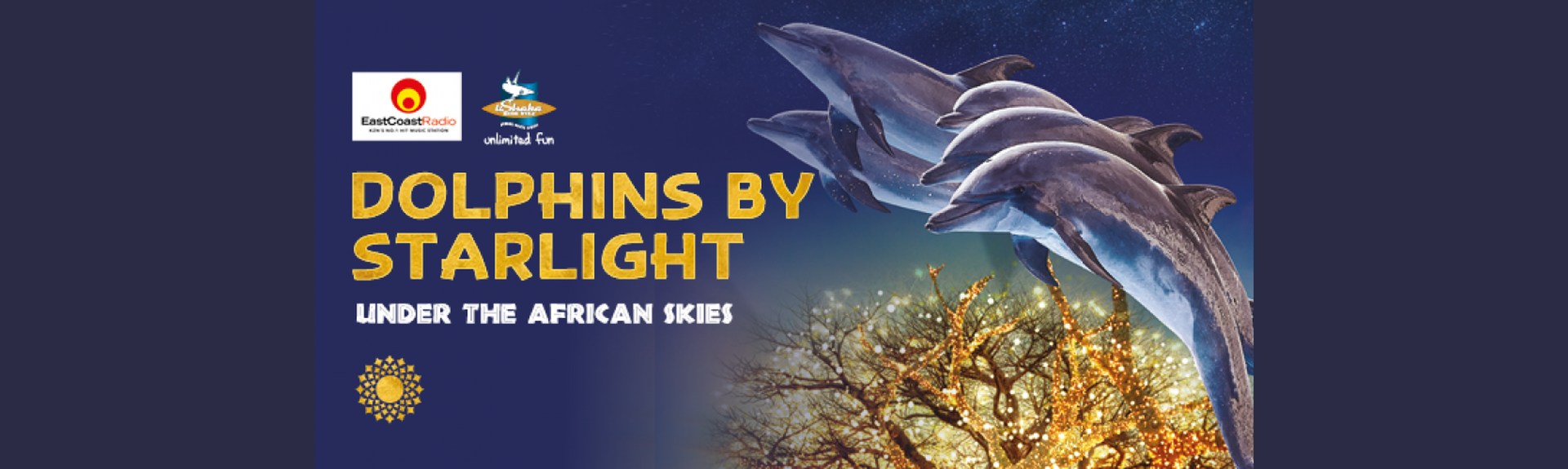 Under the African Skies with Dolphins By Star