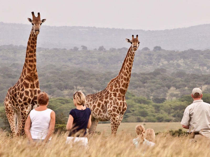 Walking safaris with Kids South Africa - Rhino River Lodge