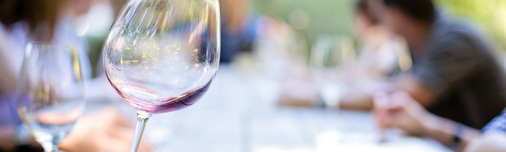 Wine on the River | Garden Route | Things to do With Kids