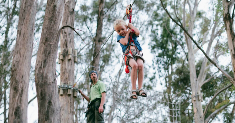 A family enjoying treetop adventures, including ziplining and climbing obstacles at Acrobranch Cape Town.