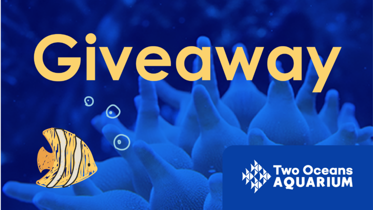 Two Oceans Aquarium giveaway graphic with yellow fish illustration, bubbles, and Two Oceans Aquarium logo on a dark ocean-inspired background.