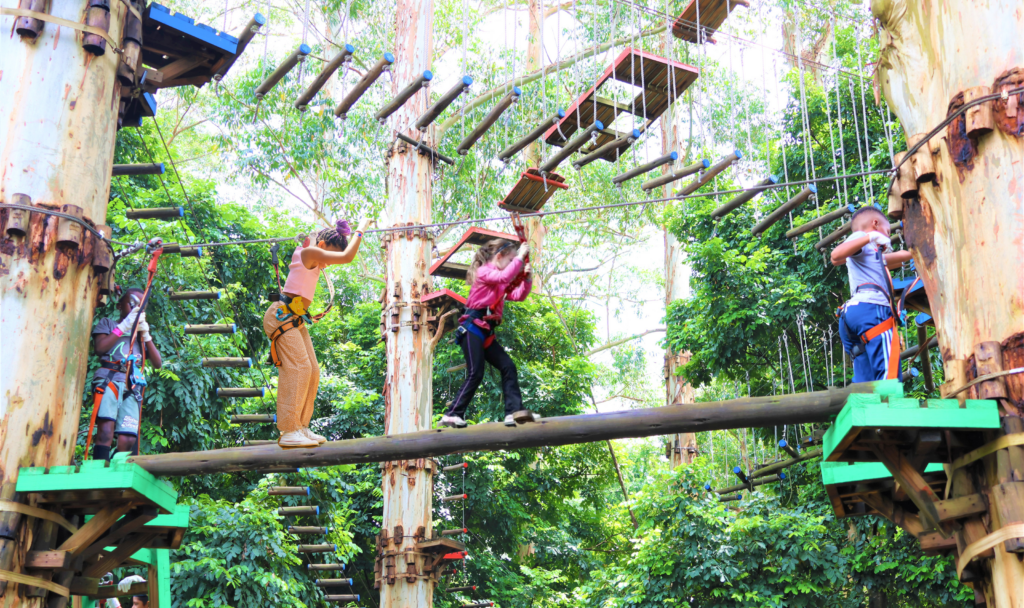 Kids and adults tackling a treetop obstacle course at Acrobranch, with suspended logs, platforms and climbing challenges among the trees.