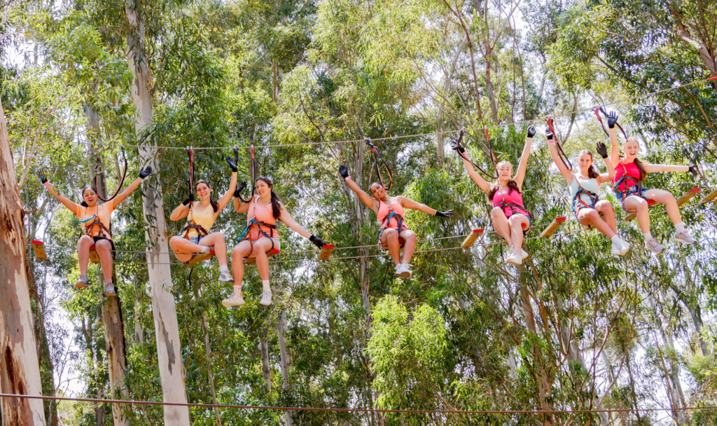 Group of friends enjoying an Acrobranch treetop adventure course, wearing safety harnesses and balancing high among the trees.