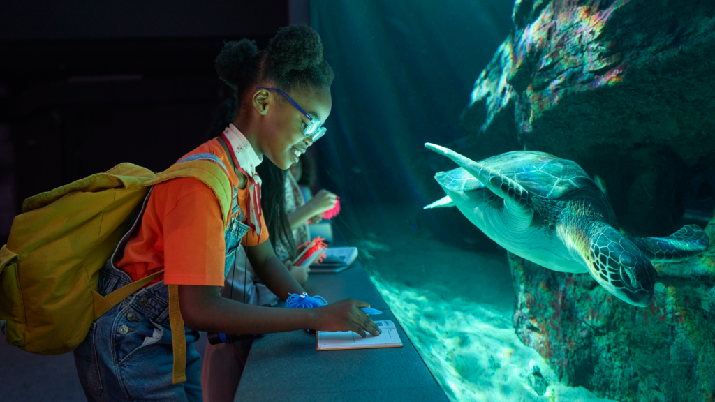 Child exploring marine life at the Two Oceans Aquarium during the V&A Waterfront Mini Explorers adventure