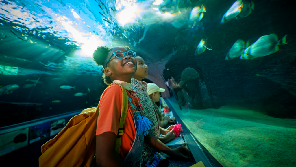 Kids discovering ocean animals at the Two Oceans Aquarium as part of the V&A Waterfront Mini Explorers programme