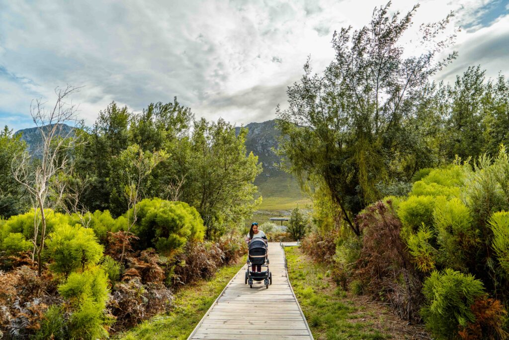 Mom pushing a baby in a pram along a nature trail surrounded by Western Cape fynbos