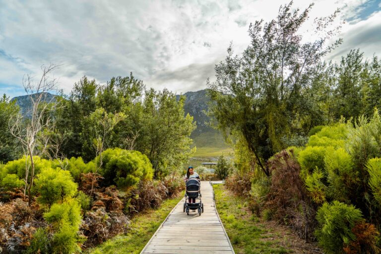 Mom pushing a baby in a pram along a nature trail surrounded by Western Cape fynbos