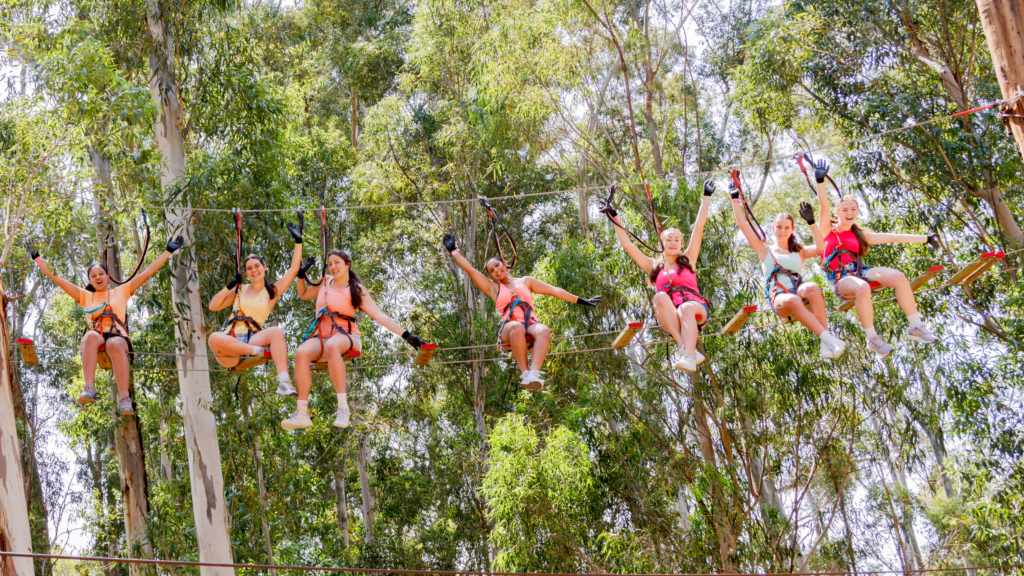 Children enjoying a treetop obstacle course adventure at Acrobranch
